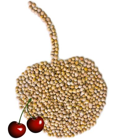 5kg Loose Cherry Stones - Free Delivery in Germany - Buy Online on GoSupps.com