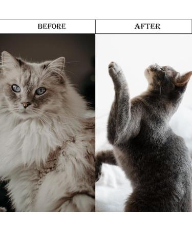 3 PCS Flea Comb for Cats Cat Flea Comb Fine Toothed Pet Comb Beauty Set Comb Set for Removing Floating Hair And Tear Stains Stain Remover Combs Fine Tooth Grooming Removal Tool - Buy Online on GoSupps.com