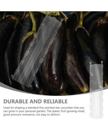 POPETPOP 2 Pcs Pentagram Mold Vegetables Vegetable Grow Forming Fruit Shaping Mould Stereotypes Strawberry - Buy Online on GoSupps.com