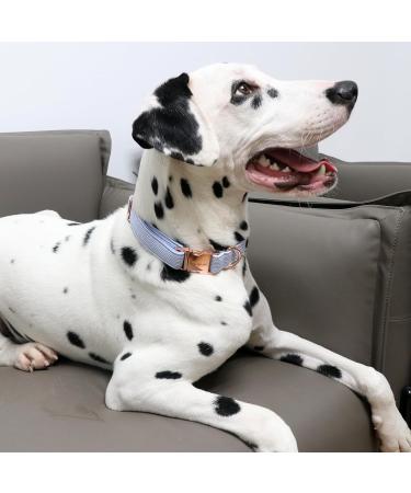 Buy Unique Adjustable Blue Stripes Dog Collar & Leash for Small Medium and Large Pets - International Shipping Available - Buy Online on GoSupps.com
