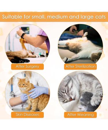 Pumyporeity Recovery Suit for Cats - Professional Post-Op Wound Protection & Skin Care | Orange Large - Ideal After Castration & Surgery - Buy Online on GoSupps.com