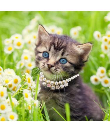 Shop Hacraho Pet Pearl Collar - Elegant Dog & Cat Necklace with Rhinestone for Small Pets - Buy Online on GoSupps.com