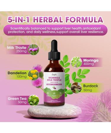 Catfit Milk Thistle Liver Detox Drops Liver Cleanse Detox & Repair with Moringa, Dandelion, Burdock & Green Tea Liquid Herbal Supplement for Liver Support & Liver Health, Vegan, 2 Fl Oz Natural Flavor 2 Fl Oz (Pack of 1) - Buy Online on GoSupps.com