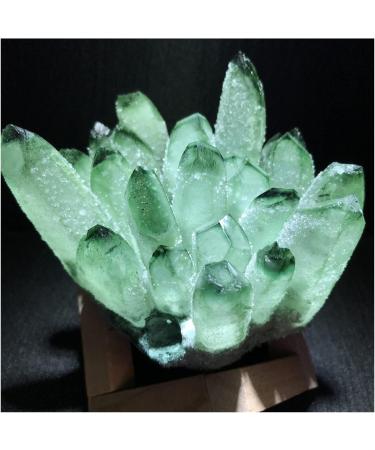 Natural Green Ghost Crystal Cluster Phantom Quartz Rock Stones and Crystals Reiki Specimen Home Decor Decoration Gift Stone Mineral Specimen (Color : A Army Green Size : 900-1000g) 900-1000g A Army Green - Buy Online on GoSupps.com