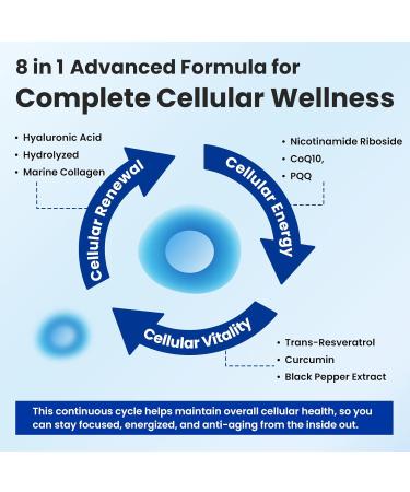 WepBio Upgraded NAD Supplement Liposomal Nicotinamide Riboside(NR 500mg) with CoQ10 PQQ and Resveratrol for Women and Men Supports Cellular Energy Vitality & Healthy Aging - 180 Capsules - Buy Online on GoSupps.com