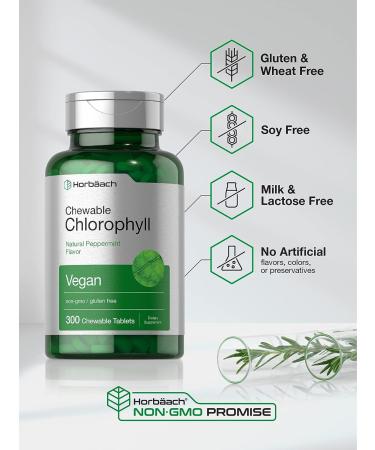 Chlorophyll Tablets 300 Chewables - Natural Peppermint Flavor, Vegan, Non-GMO, Gluten Free by Horbaach - Buy Online on GoSupps.com