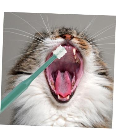 Beavorty 4 pcs for Teeth Cat Small Handheld Brush -degree Tooth Pet Puppy Cleaning Pets Clean Portable Dog 1 count (Pack of 1) Assorted Colorx2pcs - Buy Online on GoSupps.com