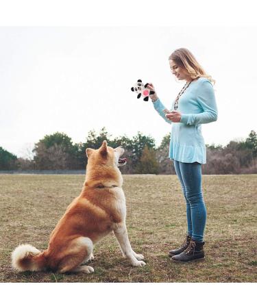 Legend Sandy Squeaking Plush Dog Toy Set - 6 Fillable Toys for Puppies & Small Dogs | Ideal Pet Toys for Small to Medium Breeds - Buy Online on GoSupps.com