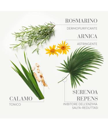 Medavita Men's Care Lotion Concentr e - Anti Hair Loss Intensive Treatment 6 ml | Shop Internationally - Buy Online on GoSupps.com