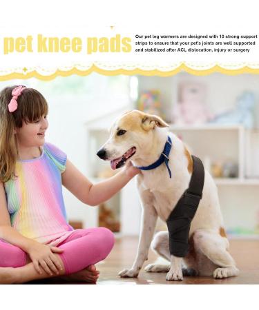 Dog Leg Support Brace | with 10 Support Sticks Dog Back Leg Brace | Comfortable Hip and Leg Protector Breathable for Small Senior and Disabled Dogs - Buy Online on GoSupps.com