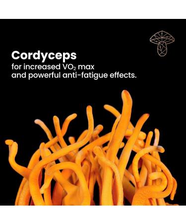 The Sporing Company Mycoveda Energy - Stamina Boost and Endurance with Cordyceps Ashwagandha Guarana - Buy Online on GoSupps.com