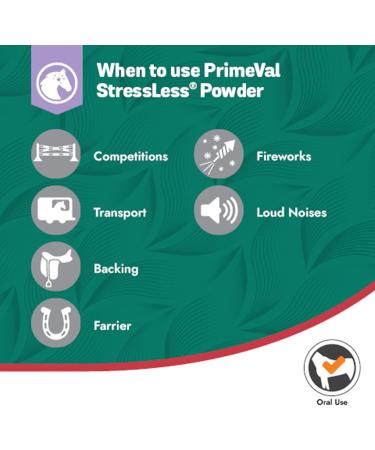 Primeval Stressless Horse - Natural Trimagnesium Citrate & Chicory Fiber for Calm Transport & Vet Visits - 500g Powder Supplement - Buy Online on GoSupps.com