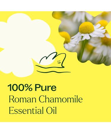 Buy 100% Pure Roman Chamomile Essential Oil - 30 mL Therapeutic Grade | Plant Therapy | Natural Aromatherapy | International Shipping - Buy Online on GoSupps.com