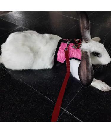 CHIPKART Small Pet Harness No Pulling Comfort Vest Guinea Pig Harness and Leash Set for Ferret Rats Bunny Hamster(L) - Buy Online on GoSupps.com
