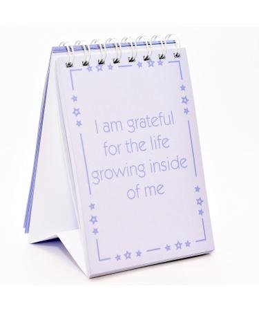 Empowering Mindful Pregnancy Affirmations: Gift for Mum to Be for Calm Connection and a Positive Mindset During Pregnancy and Birth (Blue Edition)