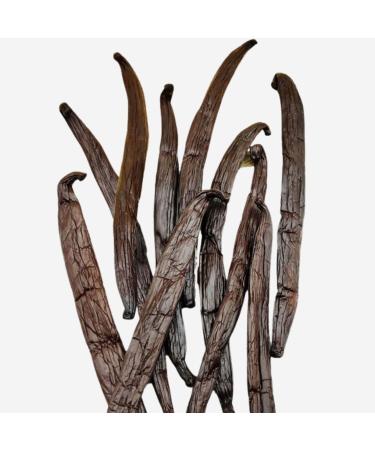 Vanille Bourbon de Madagascar - 20 Gousses - Grandes Taille 16cm - Avec Sachet Fraicheur refermable pour une conservervation optimale apres ouverture