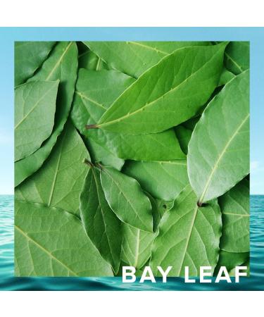 Cristiano Ronaldo - CR7 Origins Eau de Toilette 3.4oz Spray for Men 3.4 Fl Oz (Pack of 1) - Buy Online on GoSupps.com