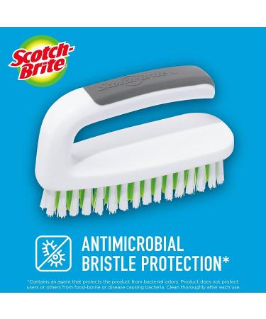 Scotch-Brite Hand & Nail Brush - Pack of 6 Brushes - Buy Online on GoSupps.com