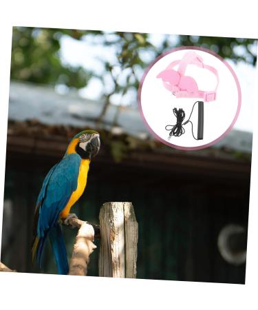 DOITOOL 4 Sets Bird Leash Suspend Bearded Dragon Harness Reptile Harness Bird Harness Outdoor Car Supplies 12X6X1.3CMx4pcs Pinkx4pcs - Buy Online on GoSupps.com