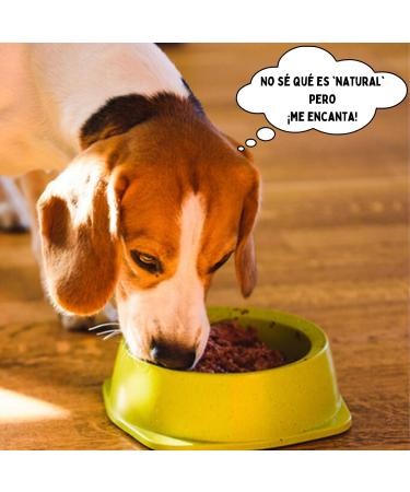 Wet Dog Food | Dog Cans (6 x 400g) Wet Dog Food | Food for Large Dogs | Natural Dog Food | Dog Food in Bulk - Buy Online on GoSupps.com