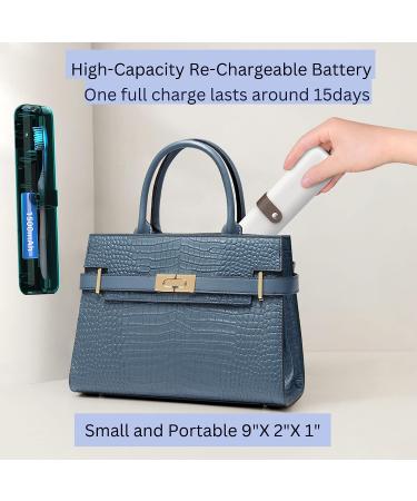 Front Arch UV Toothbrush Sanitizer and Holder - Portable Toothbrush Cleaner Sterilizer with UV Light - Buy Online on GoSupps.com