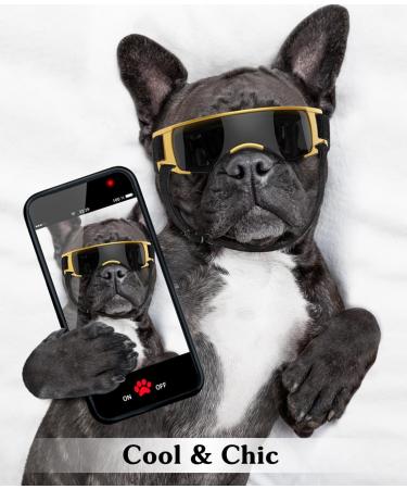 Lewondr UV Safety Sunglasses for Dogs | Windproof Waterproof & Adjustable Glasses for Small Dogs - Black & Gold - Buy Online on GoSupps.com