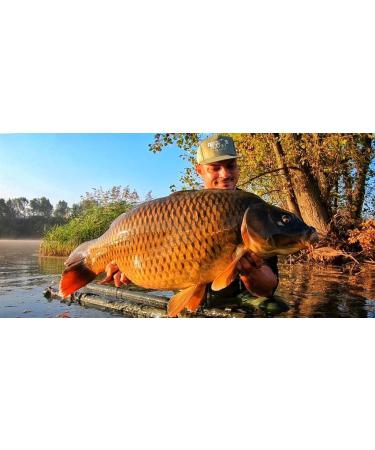  Senzor Planet Senzor Planet Soluble Strawberry Pellet - Diameter 4 mm - Pack of 800 g. - Buy Online on GoSupps.com