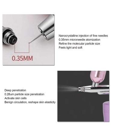 Professional Oxygen Facial Machine - Portable Handheld Water Oxygen Sprayer for Skin Rejuvenation - Nano Spray Airbrush for Moisturizing and Skin Health (Small Fuchsia) - Buy Online on GoSupps.com