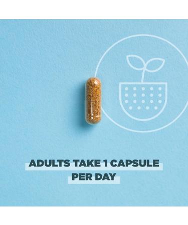 Ancient Nutrition Regenerative Organic Certified Probiotics Daily Probiotics Once Daily Healthy Digestion and Immune System Function Support 25 Billion CFUs* Per Serving 30 Count - Buy Online on GoSupps.com