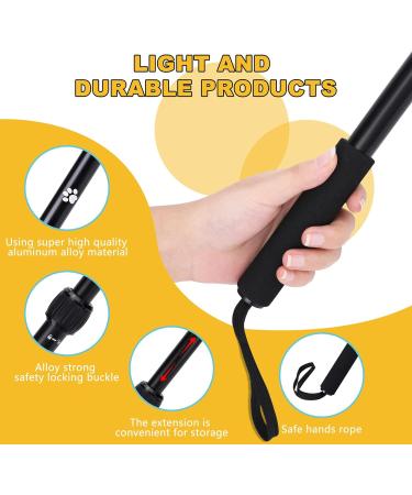 Flirt Pole Rope Dog Toy with Ball and Chasing Tail | Interactive Tug Toy for Dogs | Extendable Teaser Training Wand | Braided Cotton Rope | Small Medium Large Dogs - Buy Online on GoSupps.com