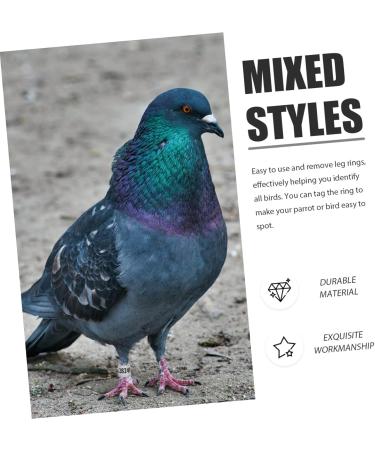 Balacoo 300 Pcs Homing Pigeon Identification Ring Tools Private Pigeons Marker Bird Distinguish Tool Birds 1.1x0.8cm x3pcs Colorfulx3pcs - Buy Online on GoSupps.com