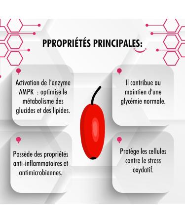 AG nature Berberine HCL 500 mg 120 Tablets - Natural High Dosage Supplement for Cardiovascular and Cardiometabolic Wellness - Buy Online on GoSupps.com