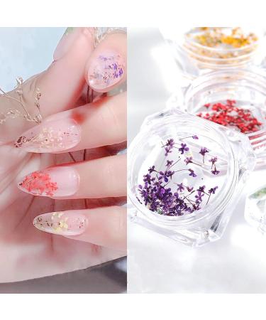 8 Boxes Dried Flowers for Nails | Nail Art Sticker Kit | DIY Nail Decoration Accessories - 8 Colors - Buy Online on GoSupps.com