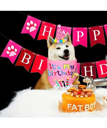 Birthday Sparty Bandana Hats Set for Girls & Dogs | 1st Birthday Party Decor with Paw Print Balloons & Happy Birthday Banner - Buy Online on GoSupps.com