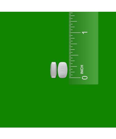 Zyrtec 24 Hour Allergy Relief Tablets 10 mg - 45 ct | Cetirizine HCl Antihistamine Medicine - Buy Online on GoSupps.com