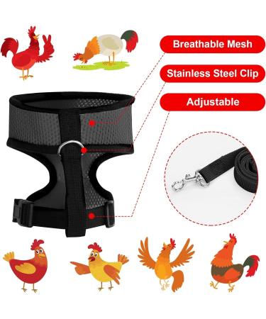 Molain Adjustable Chicken Harness with Leash | Breathable Chicken Vest for Ducks & Hens (2-11 lb) - Comfortable Training Mesh Dish - Buy Online on GoSupps.com
