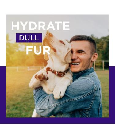 Lavender Oil Dog Deodorizing Spray - Calming and Refreshing Scent for Smelly Dogs and Puppies - Buy Online on GoSupps.com