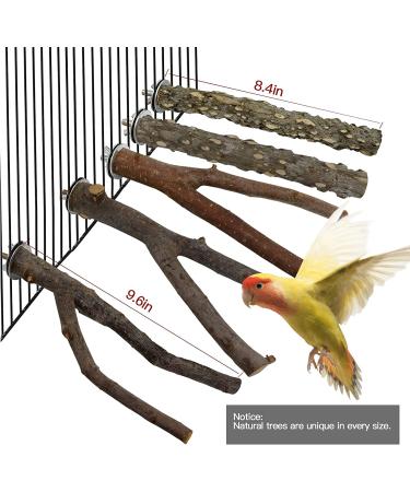 5-Piece Natural Twig Parrot Toys Set for Small to Medium Birds - Ideal for Macaws, Budgies, Lovebirds, Finches - Perching Wood Sticks - Buy Online on GoSupps.com