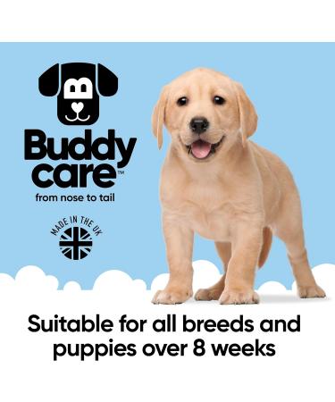 Black Cherry Dog Shampoo - BuddyCare Deep Cleansing Formula | Aloe Vera & Pro-Vitamin B5 | Fruity Fragrance | 500ml X3 - International Shipping Available - Buy Online on GoSupps.com