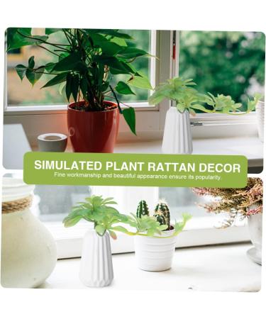 Zerodeko 2 Pcs Simulation Plant Succulent Outdoor Small Greenery Decor Artificial Succulents Photo Mini Decor Plants Wedding Scene Layout Prop Plastic Child Christmas The Flowers Greenx2pcs 29x18cmx2pcs - Buy Online on GoSupps.com