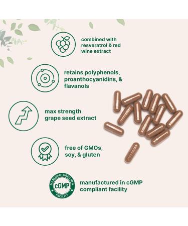 Micro Ingredients Grape Seed Extract 240 Capsules | 3-in-1 Antioxidant Blend with Resveratrol & Red Wine Extracts | Max Strength Polyphenols Supplement | Non-GMO - Buy Online on GoSupps.com