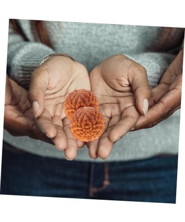 Beaupretty 4-Piece Wooden Massage Ball Set | Gymnastics & Hand Training Tools for Yoga & Leisure - Buy Online on GoSupps.com