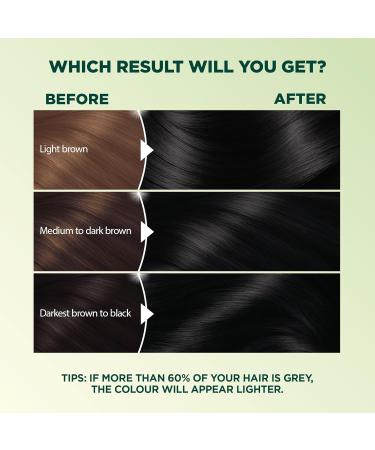 Garnier Nutrisse Ultra Cr me Permanent Hair Dye 100% Grey Coverage Vegan Formula Nourished Hair Long-Lasting Rich Colour 10 Natural Black 1 Application Packaging May Vary BLACK SHADES 10 Natural Black - Buy Online on GoSupps.com