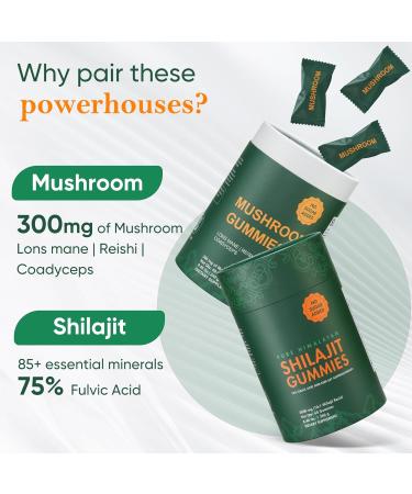 Xuore Bundle of Himalayan shilajit &Mushroom Gummies Supplement 3000 mg shilajit Lions Mane Reishi Cordyceps no Added Sugar lab Tested 75%+ fulvic Acid 92+ Minerals One Supplement(1 Package). - Buy Online on GoSupps.com