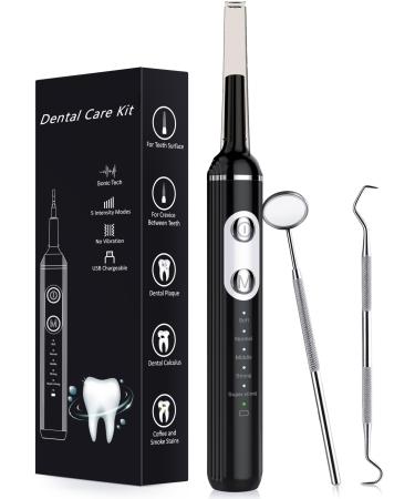 Plaque Remover for Teeth Wagner Stern Stainless Steel Dental Plaque Removal with 5 Modes & LED Light for Plaque Stain Removal Stain Remover with 4 Heads Rechargeable Aebony