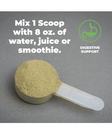 Gold BJJ Grappler's Greens Powder - Organic Superfood for Jiu Jitsu Athletes | Digestive Enzymes & Probiotics - Berry Blast - Buy Online on GoSupps.com