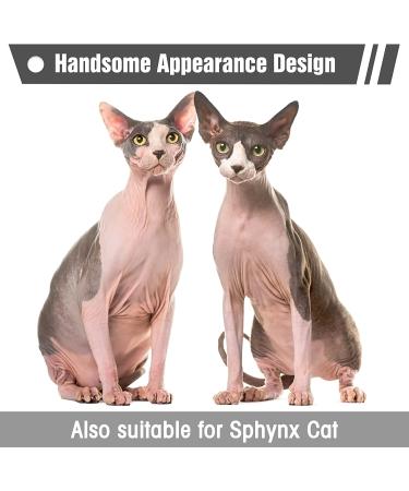 EXPAWLORER Cat Sweater for Cold Weather - Stylish Knitwear Cat Jacket | Soft, Warm Clothing for Fall and Winter | Small Size - Buy Online on GoSupps.com