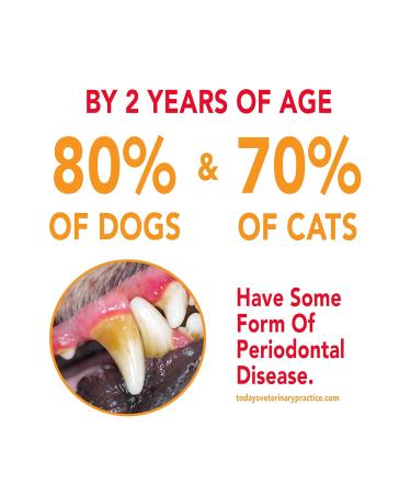 Sergeant's Petrodex Enzymatic Toothpaste for Dogs - Poultry Flavor 2.5-Ounce Pack of 1 - Buy Online on GoSupps.com