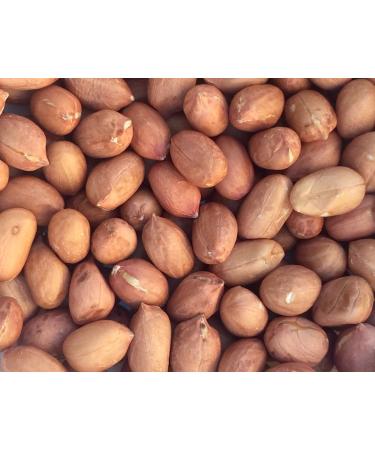 Pinstar Premium Raw Red Skin Peanuts, 5 Pounds