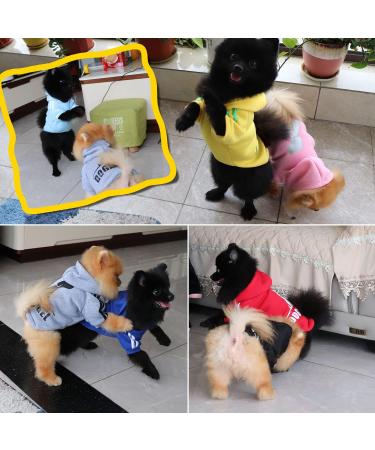 QiCheng&LYS Cute Cotton Dog Hoodie Sweater - M Grey - Buy Online on GoSupps.com